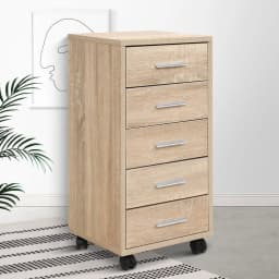 5 Drawer Metal Filing Cabinet Office Storage Organizer Lockable Vertical Cabinet for Home Office Document Storage