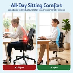 Ergonomic Memory Foam Lumbar Support Cushion for office Chair Car and Home Breathable for back Pillow with Adjustable Straps