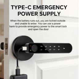 ICCSSI Smart Door Lock Fingerprint Lock Fingerprint/Tuya APP/Password/IC Card/key Unlock Shipping from Australia B208APRO