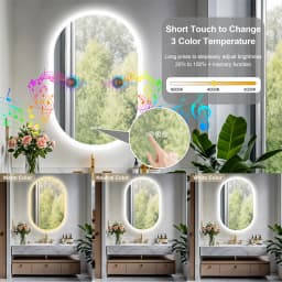 LUVODI Modern Oval LED Bathroom Mirror Dimmable Bluetooth Speaker Backlit Vanity Makeup Mirror for Home Bathroom