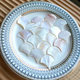 25pc Rectangle Mother of Pearl Mosaic Tiles Natural Shell Square Mosaic Pieces for Home Decoration Crafts Materials Hobbies Arte