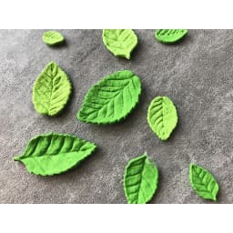 1Pc, Rose Leaf Shape Chocolate Mold, 3D Silicone Mold, Leaf Shape Candy Mold, Fondant Mold, Gum Paste Mold, for DIY Cake Decorat