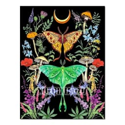 5D Diamond Painting Kits for Adults Full Round Diamond Art Butterfly is Very Suitable for Beginner and Gifts for Wall Home Decor