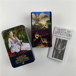 Metal Box Pink Gilded Edition Tarot Of Oppositions Cards Divination Deck With Paper Guidebook English Classical Board Games