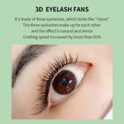 GLAMLASH 3D W+ Shape Colored Lashes Extension Premade Volume Fan Eyelashes W Style Shaped Natural False Lash Makeup Tool