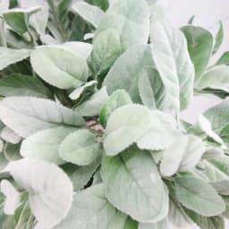 10Pcs Artificial Lambs Ear Greenery Stems Faux Branches for Bride Bouquets Picks Wedding Centerpiece DIY Wreath Floral Arrangeme