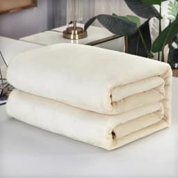 New solid color ultra-soft thickened cloud mink velvet blanket Farai velvet blanket bed sheet cover blanket