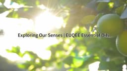 EUQEE 10ml Natural Plant Essential Oil with Dropper For Diffuser Humidifier Lavender Jasmine Eucalyptus Vanilla Essential Oils