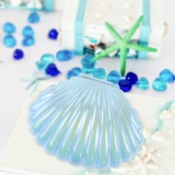 5/10pcs Colorful Shell Candy Boxes Mermaid Birthday Party Biscuit Gift Packaging Jewelry Storage Box Baby Shower Wedding Decor