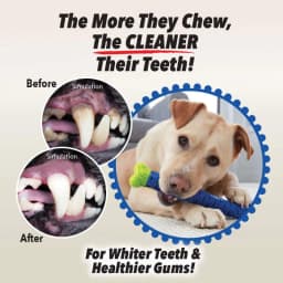 Dog Grinding Tooth Rod Cleaning Massager Dog Chewing Toys Rubber Toothbrush  Pet Teeth Cleaning Toy Biting Force Pet Accessory