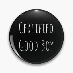 Certified Good Boy Pin Buttons Brooches  Jewelry Accessory Customize Brooch Fashion Lapel Badges