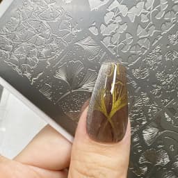 XMQ NAIL ART STAMPING PLATES LEAVES IMAGE TEMPLATES