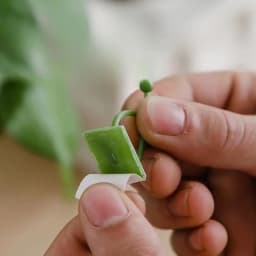 10pcs/set Plant and Green Plant Fixer, Green Basket Vine Climbing, Wall Hanging Style Household Universal Hook Plant Trellis
