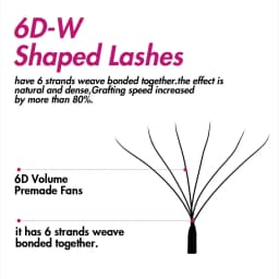 FADVAN Weave 6D W Shape D Curved Eyelash Extensions Soft Natural Professional Lashes Volume Premade Fans False Eyeashes