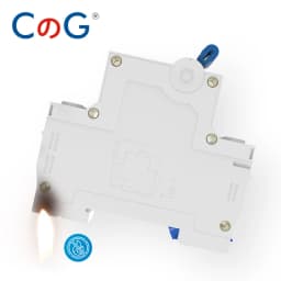 CG AC Miniature Circuit Breaker 2 Pole 6A 10A 16A 20A 25A 32A 40A 50A 63A 120/240V Thermal Magnetic Trip Din Rail Mount Switch