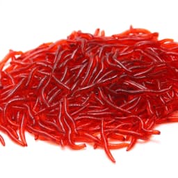 20PCS-100pcs Soft Lure Bass Bream Bloodworm Fishing Earthworm Worm Rubber Red Worms Baits Fishy Smell Realistic Tackle