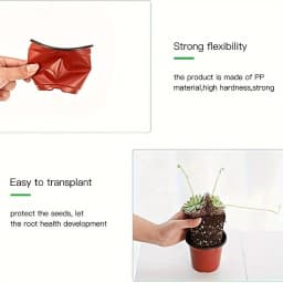 50-Pack Americana Style Nursery Pots - Versatile Indoor/Outdoor Seedling Containers, Durable & Decorative