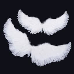 1Pc Kids Adult Party Swallow White Angel Feather Wings Wands Cosplay Elastic Straps Wedding Birthday Halloween Christmas