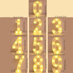Number 0-9 LED Lights Luminous Lamp Wedding Decorative Night Light Birthday Party Bedroom Home Decoration