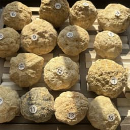 Wholesale Geodes Unopened Natural Agate Geode Real Crystal Specimen Contains Reiki Clean Clusters Beautiful Stones Jewelry Gifts