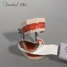 Dental Anti-Fog Mirrors Set Mirror With LED Light Orthodontic Reflectors Fog Free Intraoral Photography Stainless Steel Dentist