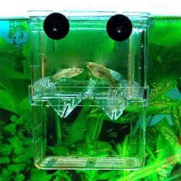 Multifunctional High Clear Fish Breeding Isolation Box Aquarium Breeder Fish Tank Double Guppies Hatching Incubator