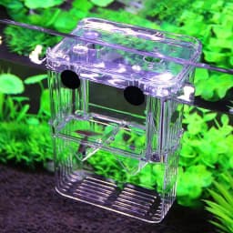 Multifunctional High Clear Fish Breeding Isolation Box Aquarium Breeder Fish Tank Double Guppies Hatching Incubator