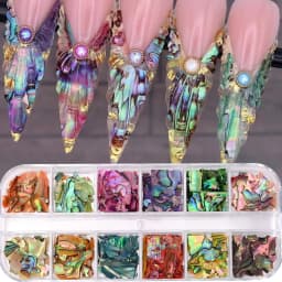 12Grids Nail Art Aurora Abalone Shell Flakes 3D Irregular Sea Shell Slices Nail Charms 1pcs Holographic Shell Sequins Nail Parts