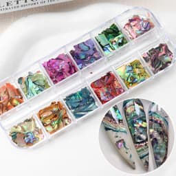 12Grids Nail Art Aurora Abalone Shell Flakes 3D Irregular Sea Shell Slices Nail Charms 1pcs Holographic Shell Sequins Nail Parts