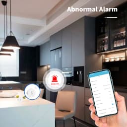 Tuya Zigbee 3.0 Temperature And Humidity Sensor Remote Monitor By Smart Life APP Battery Powered Work With Alexa Google Home
