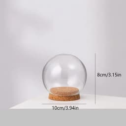 Preserved Fresh Flowers Glass Cover Flower Dustproof Cover Transparent Glass Dome Protector Clear Flower Domes