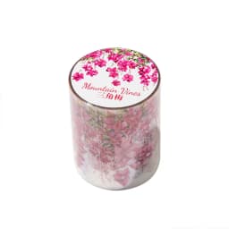 5*200cm 1roll INS Fresh vine theme PET tape Stickers Adhesive Diy Scrapbooking Diary Scrapbooking Collage material Scrapbooking