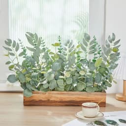 20PCS Artificial Mixed Eucalyptus Leaves Stems Silver Dollar Leaves for DIY Bouquets Floral Arrangement Home Decor Wedding