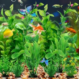 Fish Tank Accessories Green Plants 10pcs Green Fish Tank Decorations Aquarium Artificial Plastic Plants Decor Plastic Plants