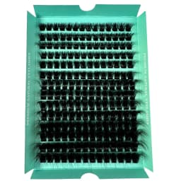 160D 8-20mm 5D Fluffy Thick Soft Individual DIY Clusters Eyelash Extension D Curl 280pcs Natural Segmented Eyelash Makeup Tools
