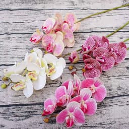 Artificial Phalaenopsis 3D Small Butterfly Orchid 6 Heads Fake Flower Home Drapery Wall Wedding Decoration Festival Diy Wreath