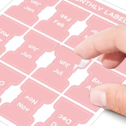 5 Sheets 2 Color Self-adhesive Stamping Labels Monthly Planner Tabs Book Notes Calendar Sticky Tags Office Pad Study Journal