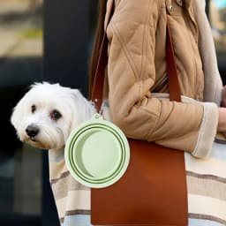 350ML Folding Dog Dish Collapsible Pet Bowl Water for Dog Drinking Bowl Cat Water Bowl Drinking Fountains for Dogs