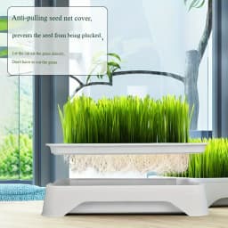 Pet Cat Grass Planting Basin Soilless Culture Wheat Seedling Pot Kitten Grass Hydroponic Device Horticultural Planting Pot