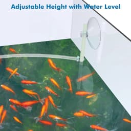 Fish Tank Floating Plant Fence Improve aquarium Water Quality Fence Plant Enclosure Interceptor Hose Length: 25.6inch