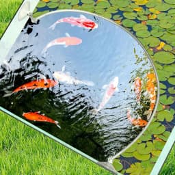 Fish Tank Floating Plant Fence Improve aquarium Water Quality Fence Plant Enclosure Interceptor Hose Length: 25.6inch