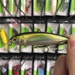 LURETV Japanese Chili Karashi Slow Sink Pull Stop Pencil Sea Bass Lurie 6/7.5 cm 5/10 g 8035