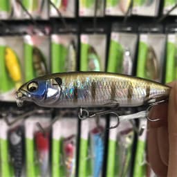LURETV Japanese Chili Karashi Slow Sink Pull Stop Pencil Sea Bass Lurie 6/7.5 cm 5/10 g 8035