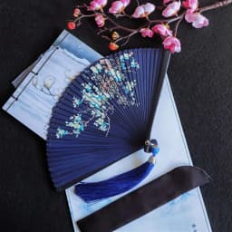 Chinese Style Japanese Classical Folding Fan Black Portable Women's Folding Fan Exquisite Ancient Style Bamboo Fan