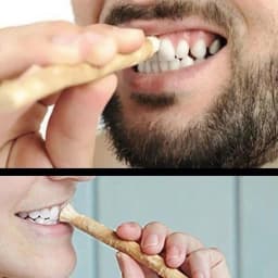 Miswak Siwak Natural Toothbrush Manual Teeth Whitener Soft Travel Misvak Traditional Arak Miswaak For Healthy Gums Teeth