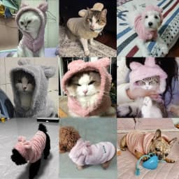 Pet Cats Coat Hoodie For Small Medium Dogs Winter Warm Fleece Puppy Kitten Clothes Jacket Cozy Cute Sphynx Cat Sweater Apparel
