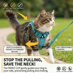 Breathable Cat Harness Leash for Small Medium Dogs Cats Adjustable Reflective Harnesses Pets Vest Puppy Maine Sphynx Supplies