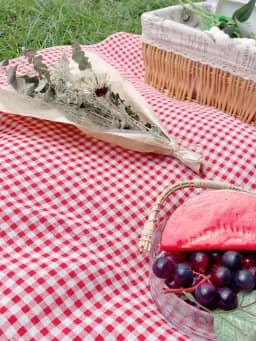 Rde Picnic Outdoor Blanket, Foldable Blankets Gingham Picnic Mat Tablecloth