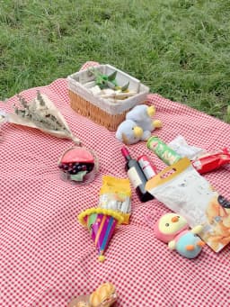 Rde Picnic Outdoor Blanket, Foldable Blankets Gingham Picnic Mat Tablecloth