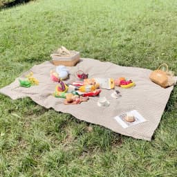Rde Picnic Outdoor Blanket, Foldable Blankets Gingham Picnic Mat Tablecloth